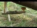 Уроки выживания в лесу ловушка 3 