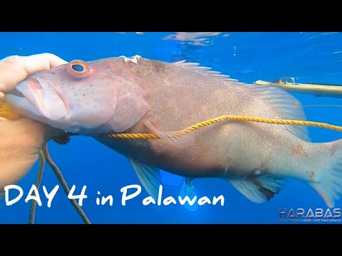 EP781-P1 - Uwian na from Palawan