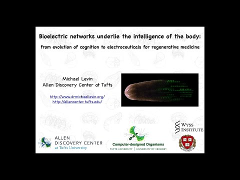 Bioelectric networks underlie the intelligence of the body