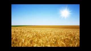 Schuyler Fisk - The Good Stuff