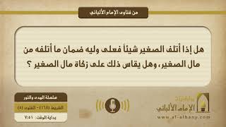 هل إذا أتلف الصغير شيئاً فعلى وليه ضمان ما أتلفه من مال الصغير، وهل يقاس ذلك على الزكاة من مال الصغير ؟