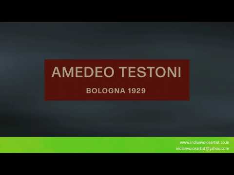 Pronunciation of the word(s) "Amedeo Testoni".