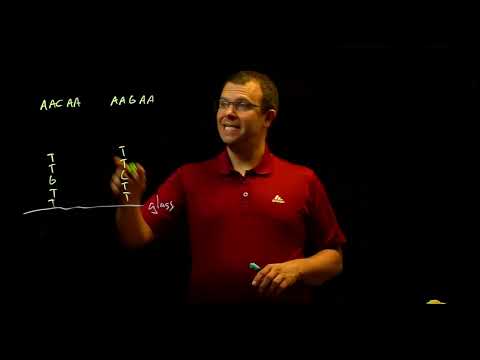 DNA Microarrays (SNP chips)