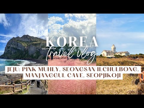Coreia Vlog Parte 5 | Jeju Seongsan Ilchulbong, Manjanggul, Seopjikoji, Myeongjin Abalone, Pink Muhly