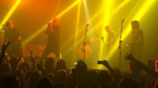 Buitres - Vos nunca ves