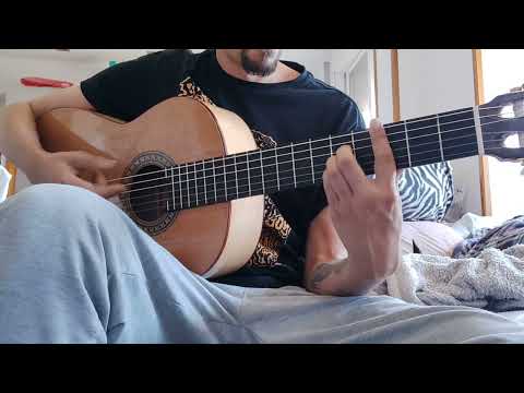 Volvieron los colores David Palomar ft El canijo de jerez cover guitarra