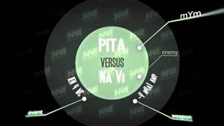pita vs Na`Vi @ IEM4 WC