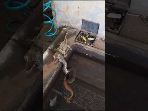 07/01/26,Terenos, MS.#matogrossodosul #turismo #viagem #terenos