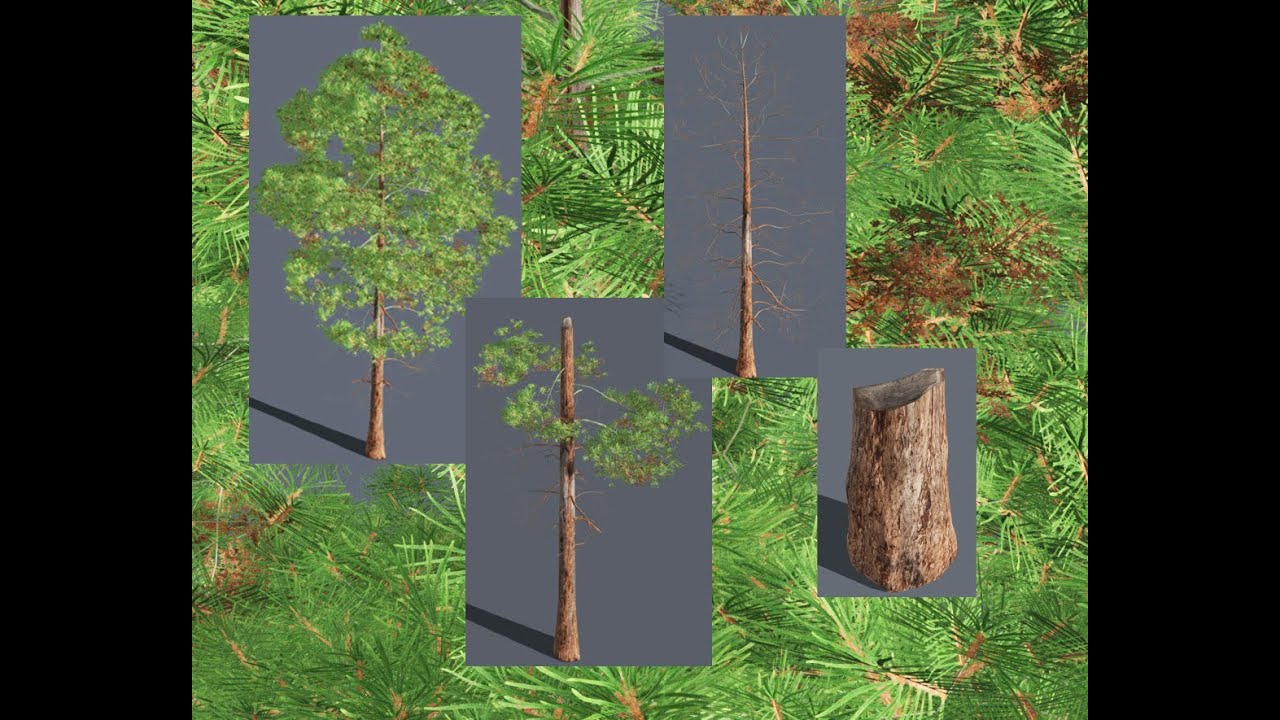 The process of creating trees for the D5 Render program