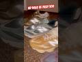 NB 9060 Vs Yeezy 500 Which Sneaker Is More Comfortable Stylish NewBalance Yeezy Sneakers