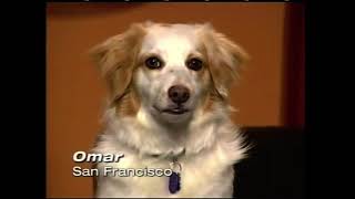 Download lagu KOFY-TV Station ID 'Omar' (Partial, 2010) mp3 Download lagu KOFY-TV Station ID 'Omar' (Partial, 2010) mp3