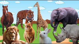 Download Lagu Learn animals sound - Elephant, lion, cow, rabbit, dolphin, giraffe, panda, dog, cat, tiger, goats Thumbnail