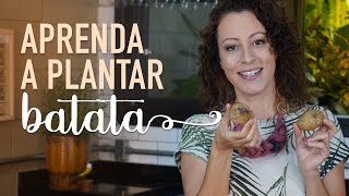Miniatura do vídeo