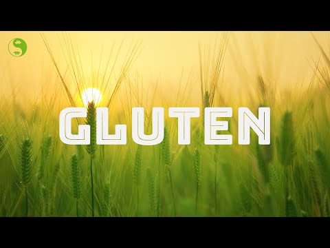 , title : 'Gluten Facts - What Is The Nocebo Effect?'