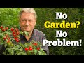 How To Grow Juicy Tomatoes Anywhere Garden Balcony Or Pots Start Planting Now