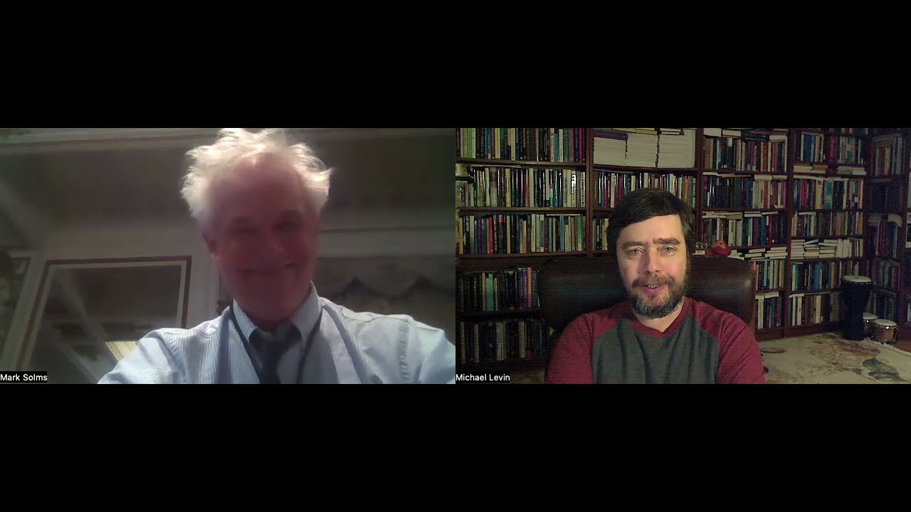 A conversation with Mark Solms on life and mind