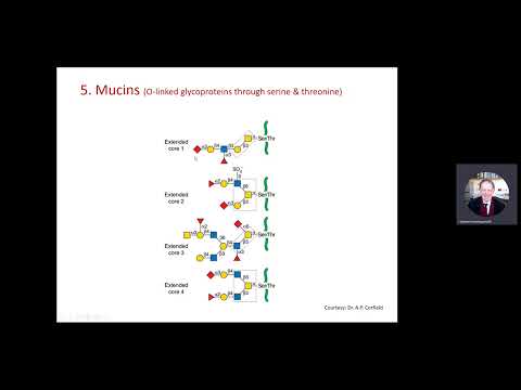 🔬Introduction to Glycan Biotechnology |Glycan Types Module for MRes Biomolecular Technology Students