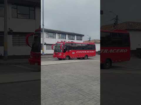 Gameza Boyaca