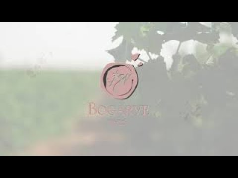 Presentación Bogarve 1915