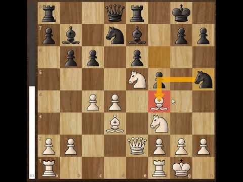 Amazing Alekhine  Alexander Alekhine vs M von Feldt