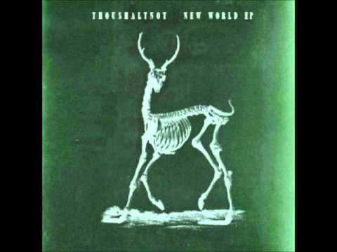 ThouShaltNot - New World