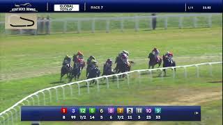 Vintur wins race seven on September 7, 2025 at Kentucky Downs