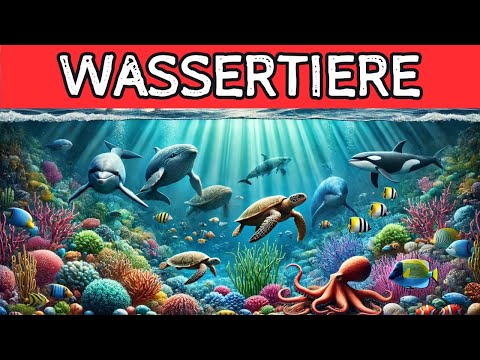 Meeresbewohner für Kinder: Tauche ein in den aquatischen Lernspaß! 🌊🐟