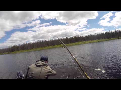 Oliver Lake Wilderness Lodge 2014