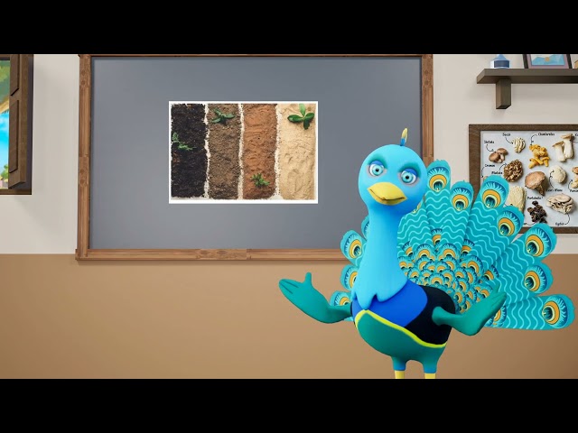 thumbnail of the course