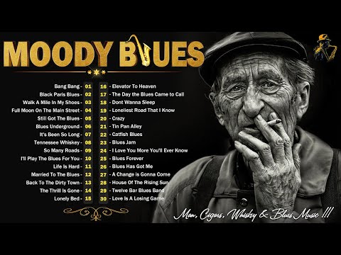[ 𝐌𝐎𝐎𝐃𝐘 𝐁𝐋𝐔𝐄𝐒 ] Moody Blues Songs For You - Sad Blues Music Playing At Midnight - Devils Blues