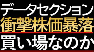 【長期投資】データセクションの暴落は千載一遇の買い場なのか？
