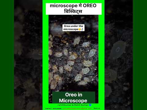 OREO under the microscopes biscuits #oreobiscuits #youtubeshorts #microscopiclife #facts #shorts