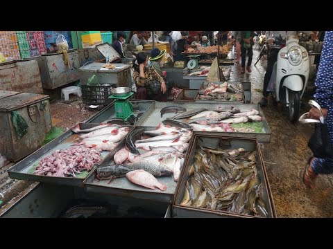 Walk Around Street Food Market @Century Plaza Market - Morning Food Market Scene in Town