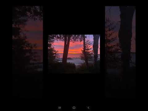 #nature #relaxing #birds #waterfallsounds #forest