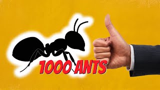 Moving an entire Ant colony ! Here's what happened