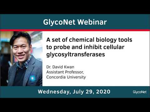 GlycoNet Webinar ft. David Kwan: Chemical biology tools to inhibit cellular glycosyltransferases