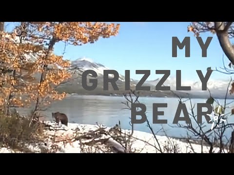 Alone Season 8 Episode 7 Grizzly Bear encounter