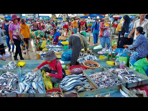 Cambodia's Morning Wet Market Scene: This is Site Wholesale Fish @Chhbar Ampov Market