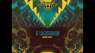 A Sagittariun - Crystallization feat. Skip McDonald (Elastic Dreams)