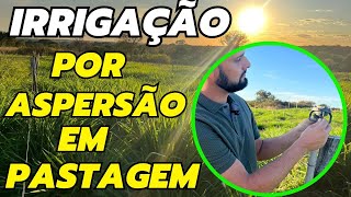 Como DIMENSIONEI minha IRRIGAÇÃO por ASPERSÃO na PASTAGEM!