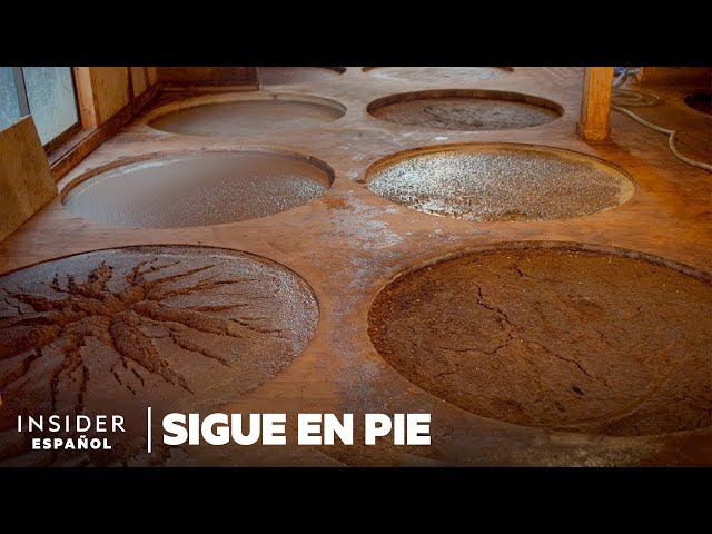 Vídeo relacionado con MUSUBI Salsa de Soja Japonesa - Auténtico Shoyu Japonés, Rico Sabor Umami para Sushi, Marinados, Salteados y Dips, Hecho en Japón (Traditional)