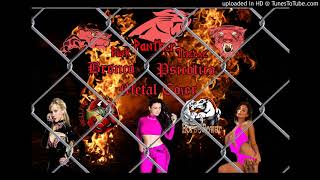 Leo Moracchioli (Cover 2017) - The Pink Panther Theme - Henry Mancinni (Original Song 1963)