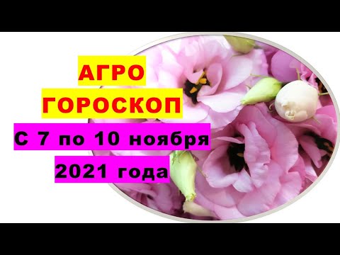 , title : 'Агрогороскоп с 7 по 10 ноября 2021 года'