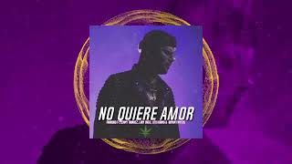 Farruko -  No Quiere Amor - Remix  Ft Lenny Tavárez, Bryant Myers, Lary Over &amp; Lito Kirino