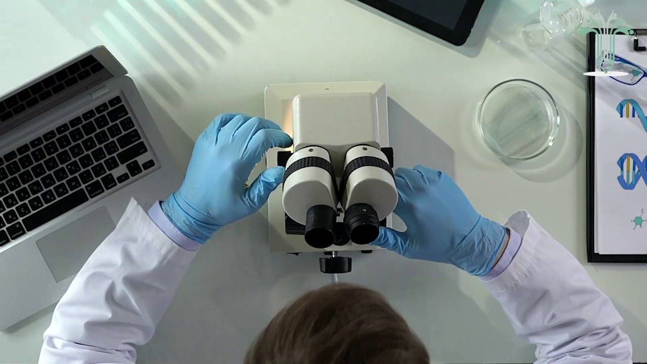 تعريف ببرنامج طريق المعرفة