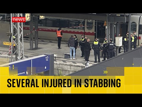 BREAKING: Woman arrested after knife attack in Hamburg