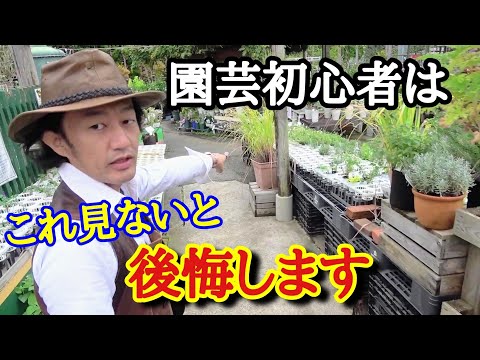 園芸 あなたの庭に大きな主題を選ぶ