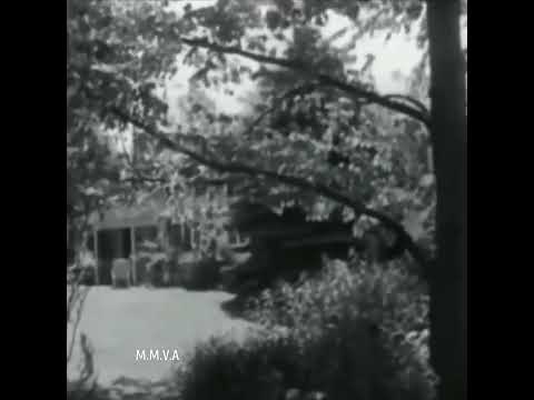 Marilyn Monroe filmed from a distance At Home - 