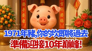 1971年的【豬】，你人生『最大的一個坎』即將過去！準備迎接10年巔峰！#生肖豬 #1971年 #運勢 #運程 #財運 #事業運 #轉運 #屬豬 #生肖 #風水 #命理 #貴人 #算命 #五行