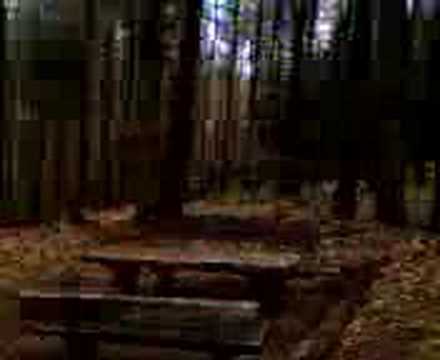 Stempelstelle 152 Knollenkreuz - Harzer Wandernadel